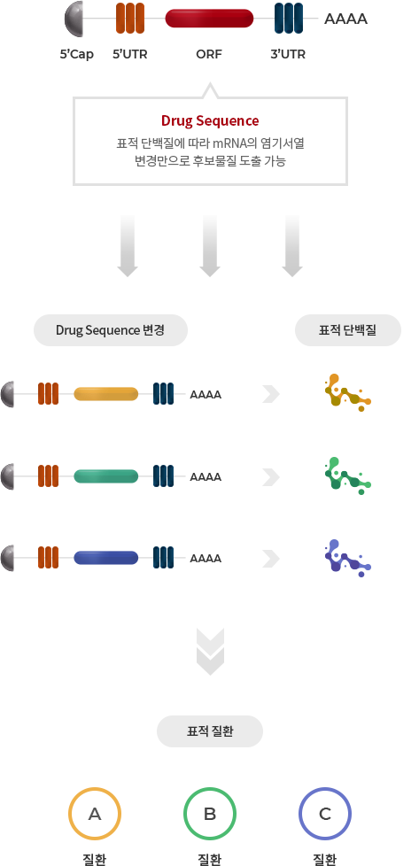 엠큐렉스 mRNA 플랫폼의 확장성에 관련된 도식